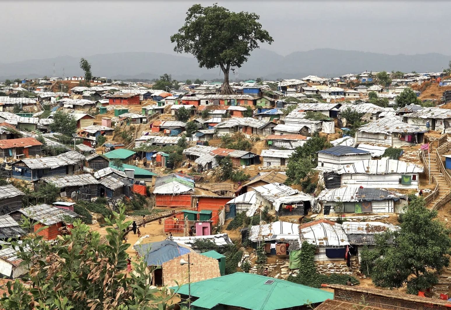 ِA Rohingya refugee camp in Cox's Bazar in Bangladesh (Image: npr)