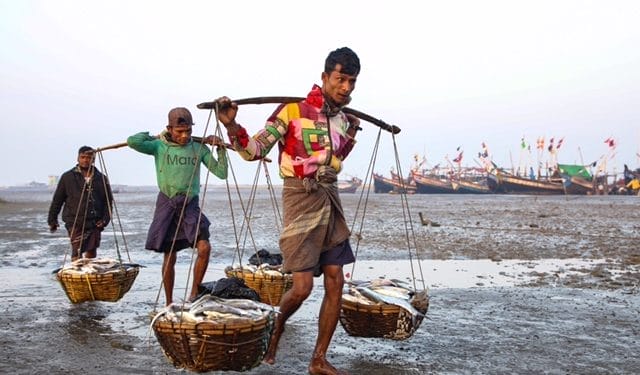 Fishermen in Arakan state, western Myanmar in January 2022 (Image: Internet)